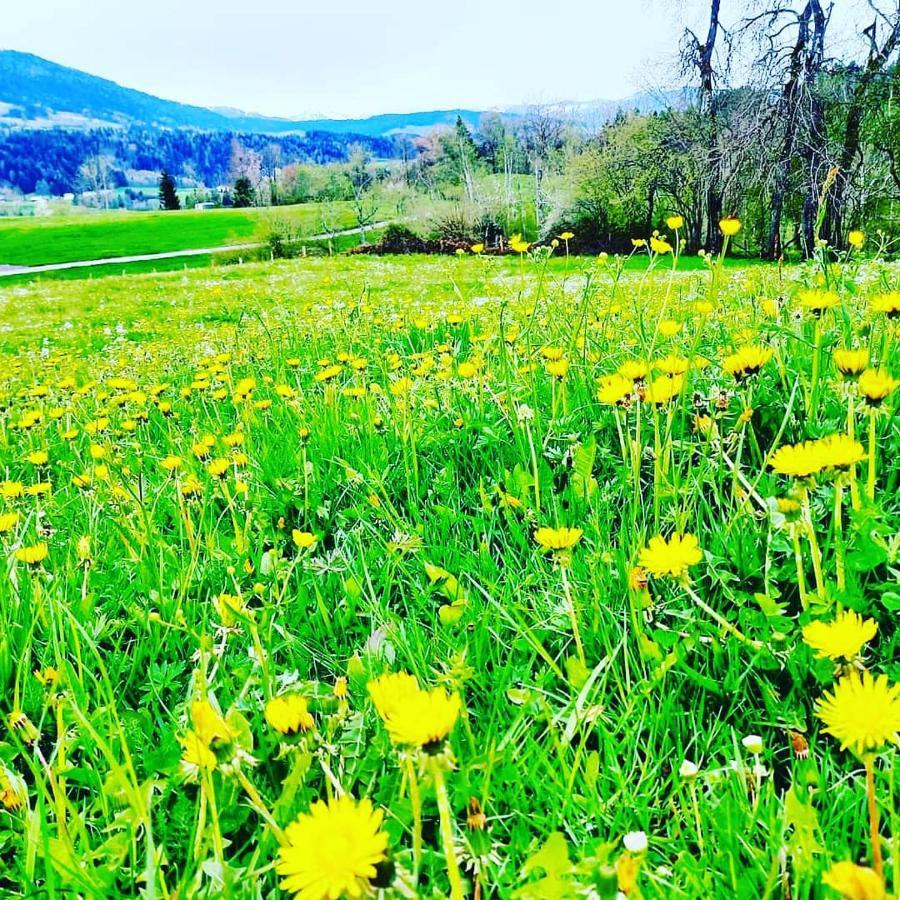 Eibelesee * Oberstaufen