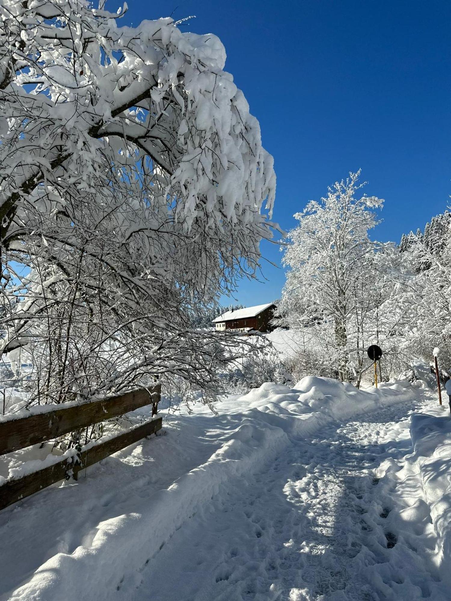 Eibelesee Apartment Oberstaufen